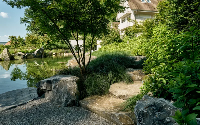 Felsen / Felsformationen 11