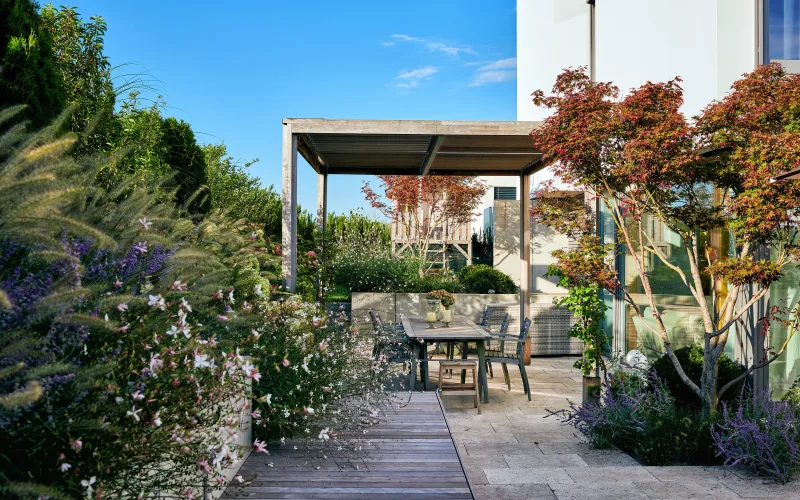 Pergola 6