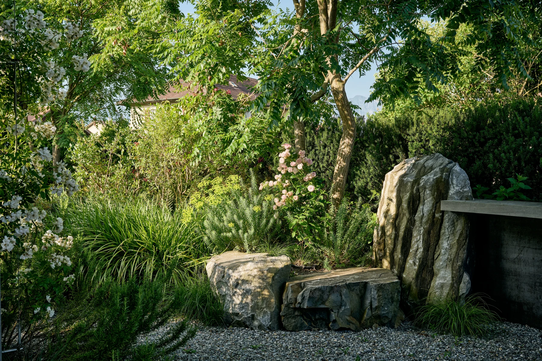 Felsen / Felsformationen 5
