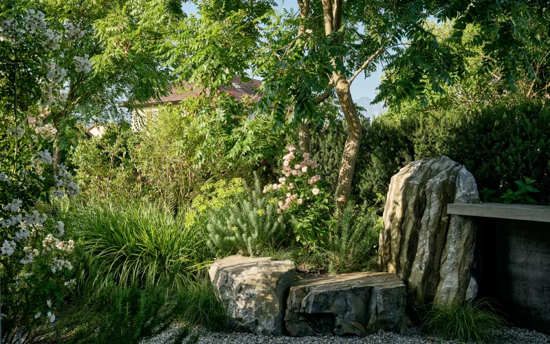 Felsen / Felsformationen 5