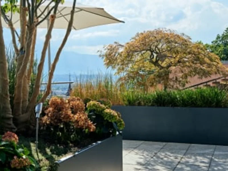 Terrasse Thun
