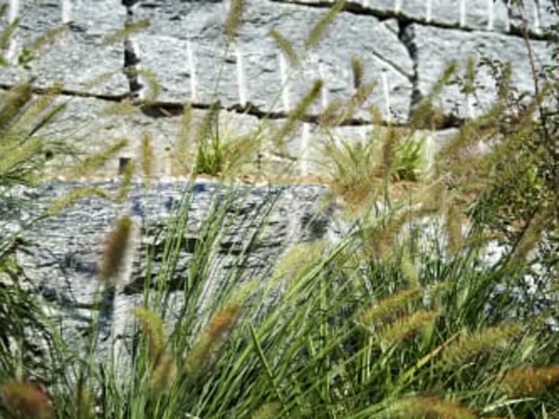 Privatgarten Limpachtal