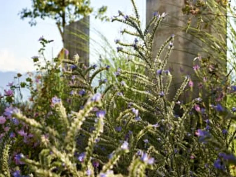 Privatgarten Thun
