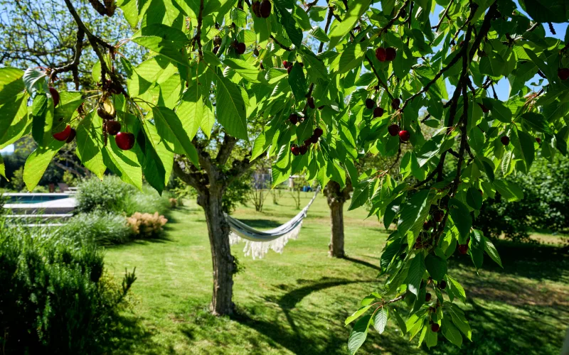 Privatgarten Murten 4
