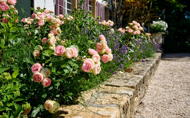 Privatgarten Murten 6