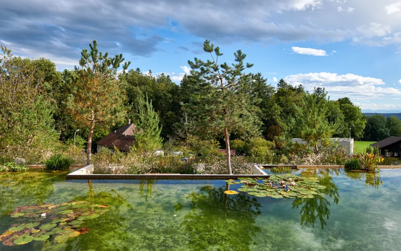 Privatgarten Solothurn 2