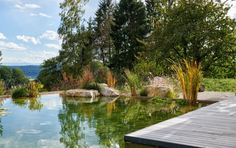 Privatgarten Solothurn 3