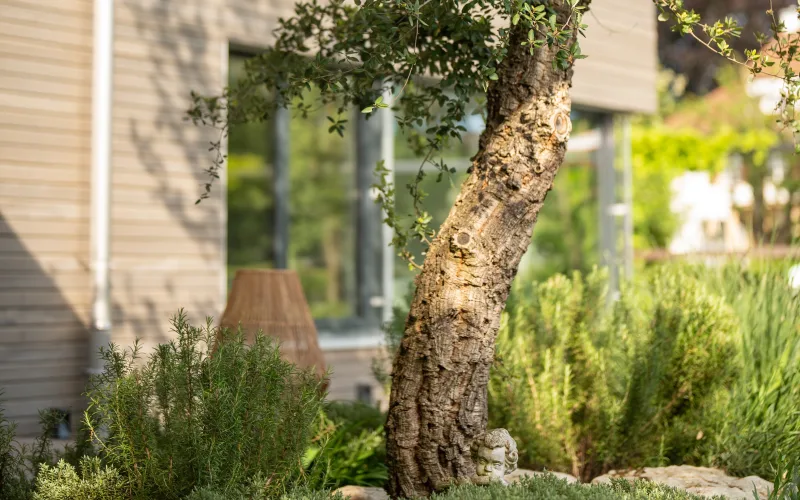 Privatgarten Murten 6