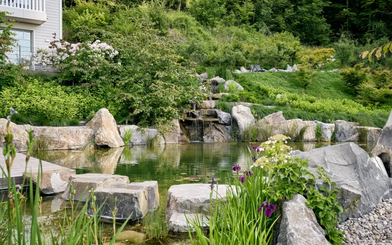 Privatgarten Limpachtal 2