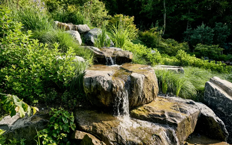 Privatgarten Limpachtal 3