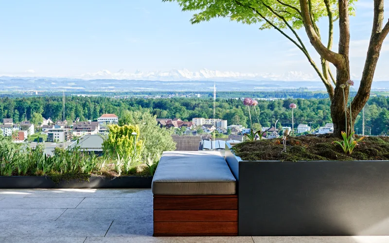 Terrasse Solothurn 2