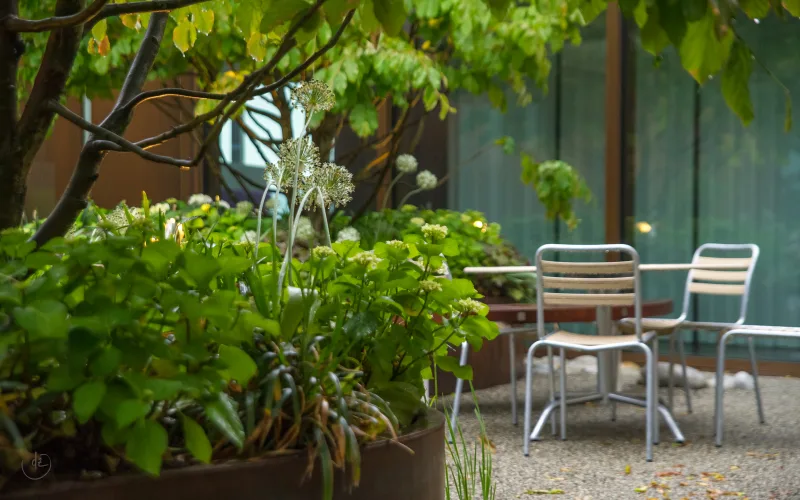 Terrasse Bern 1