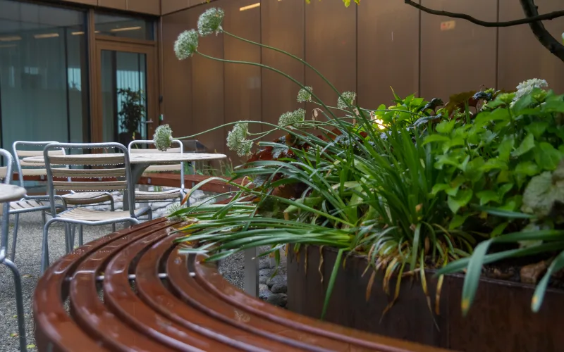 Terrasse Bern 2