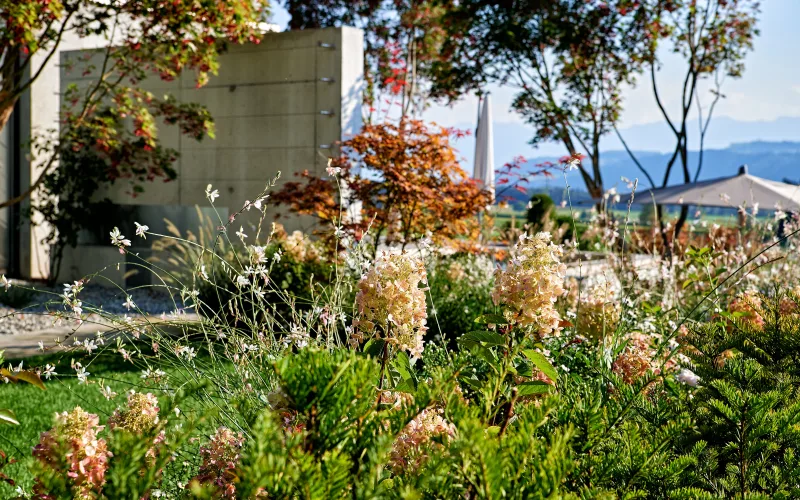 Privatgarten Worb 2