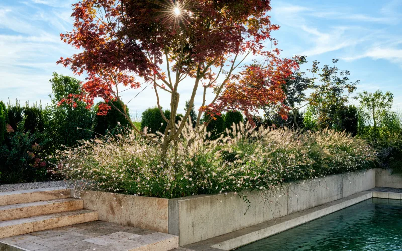 Privatgarten Bern 4
