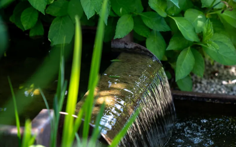 Privatgarten Murten 5