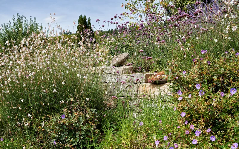 Privatgarten Biel 1