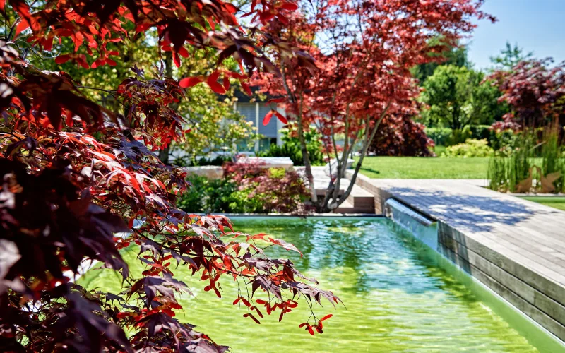 Privatgarten Solothurn 2