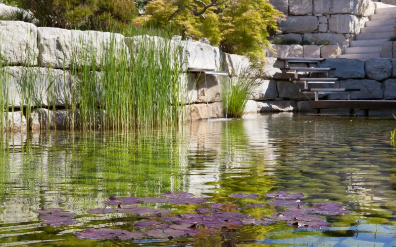 Privatgarten Genfersee 5