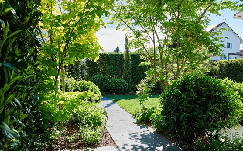 Privatgarten Stadt Solothurn 1