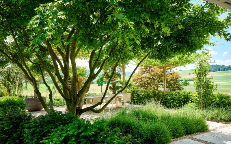Privatgarten Bern 2