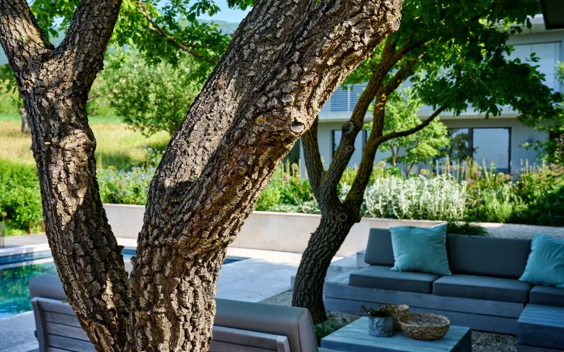 Showgarten BEA 2023 1