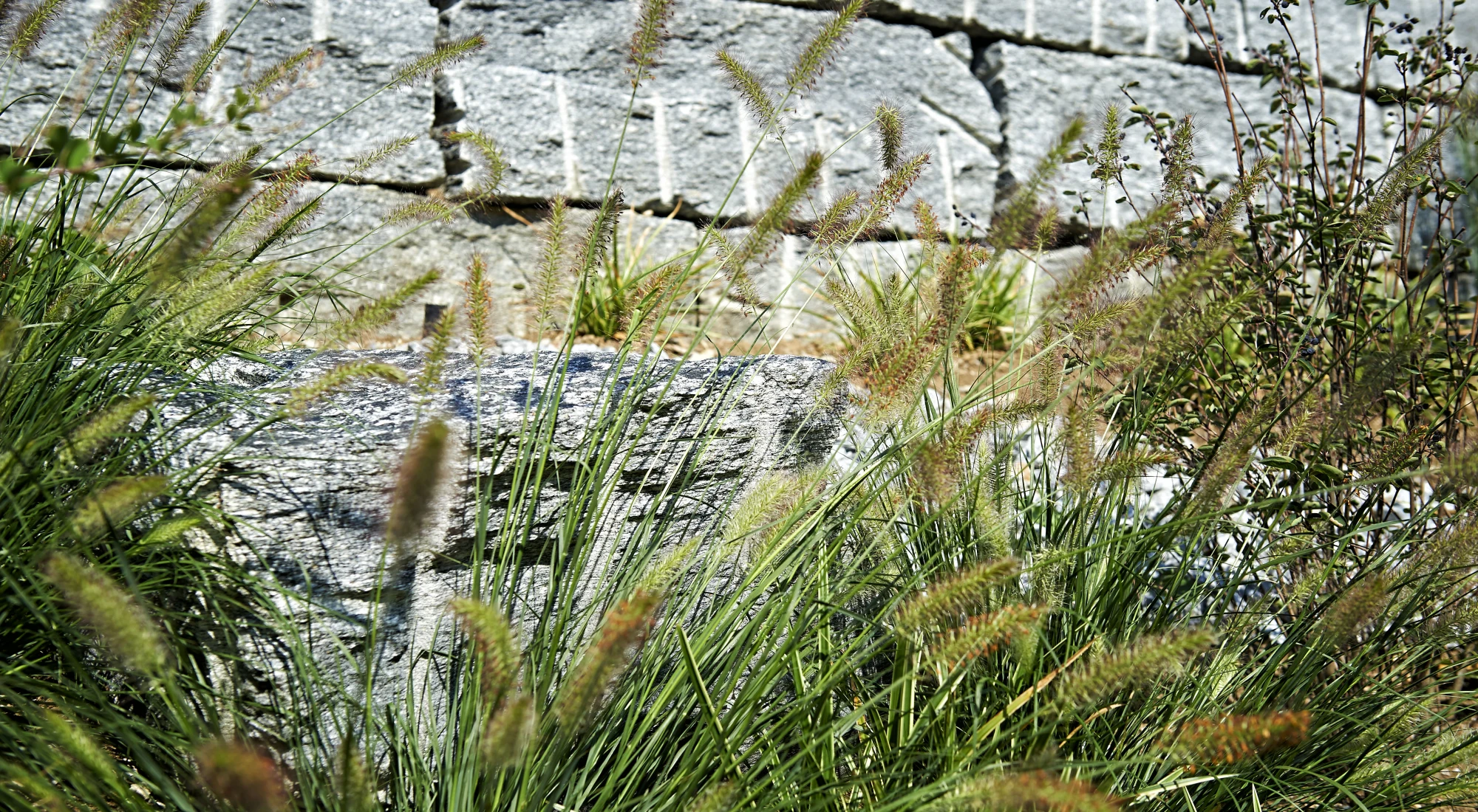 Privatgarten Limpachtal