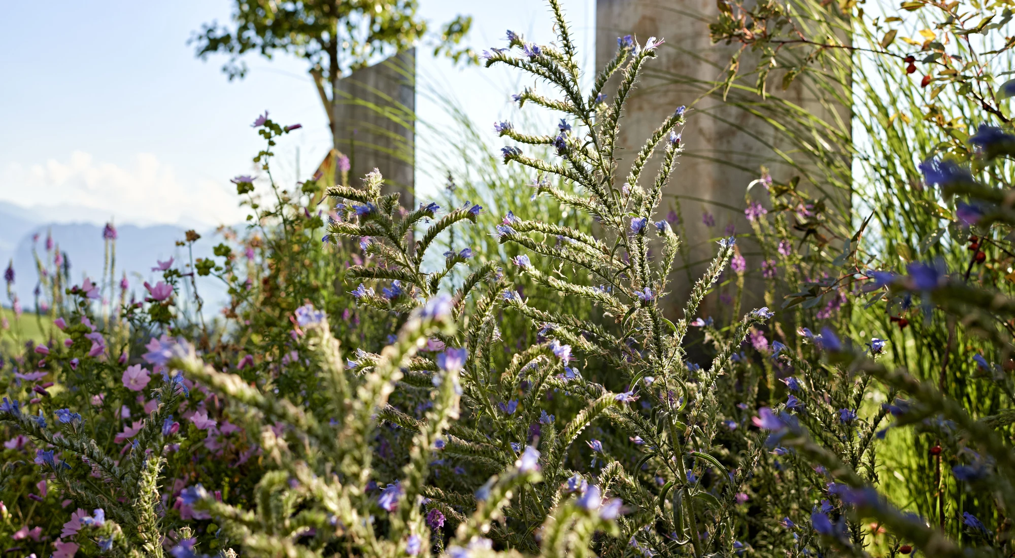 Privatgarten Thun