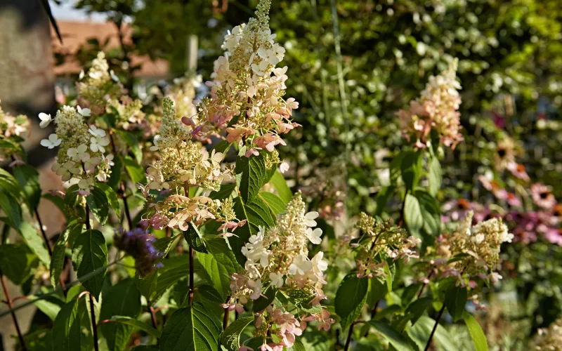 Privatgarten Bern 3
