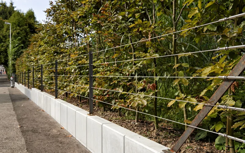 Privatgarten Bern 4