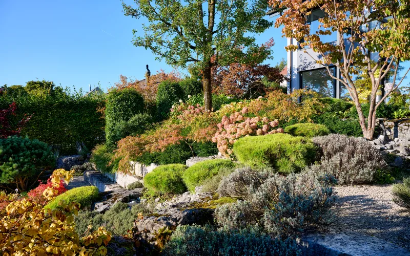Privatgarten Zürich 2