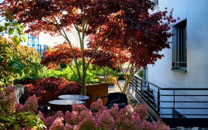 Privatgarten Zürich 5