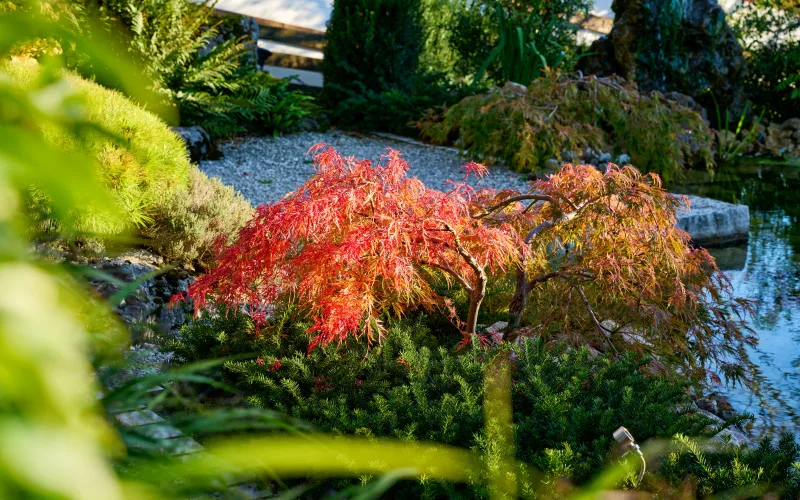 Privatgarten Zürich 8