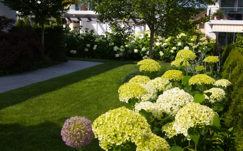 Privatgarten Zürich 1