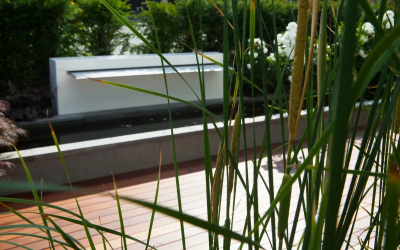 Privatgarten Zürich 3