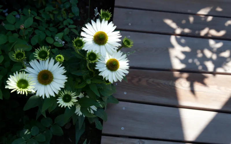 Privatgarten Schönbühl 4