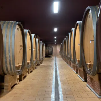 Neu bei uns: Barolo-Ikone Giacomo Conterno.