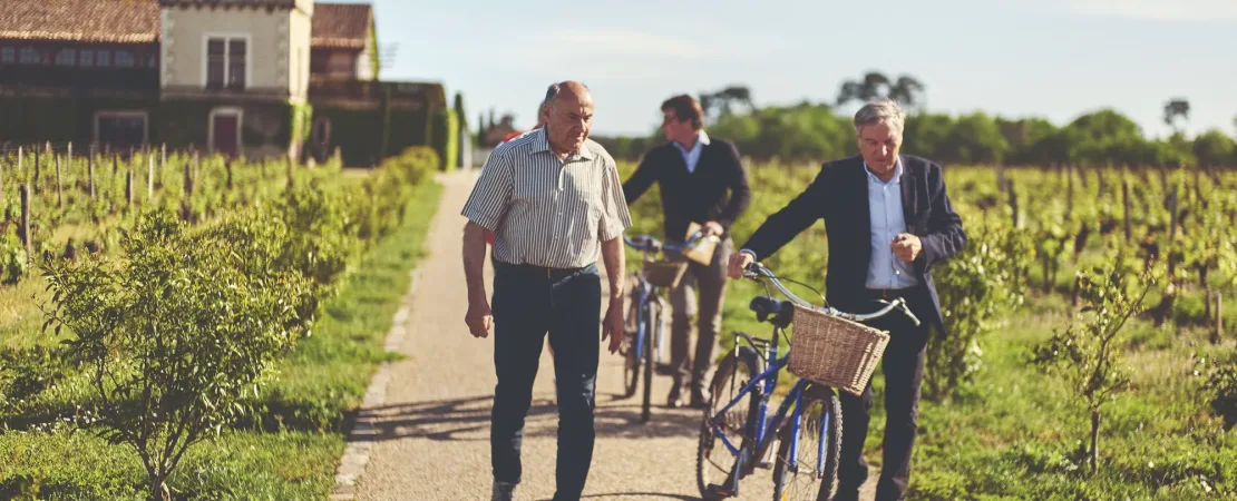 Château Smith Haut Lafitte