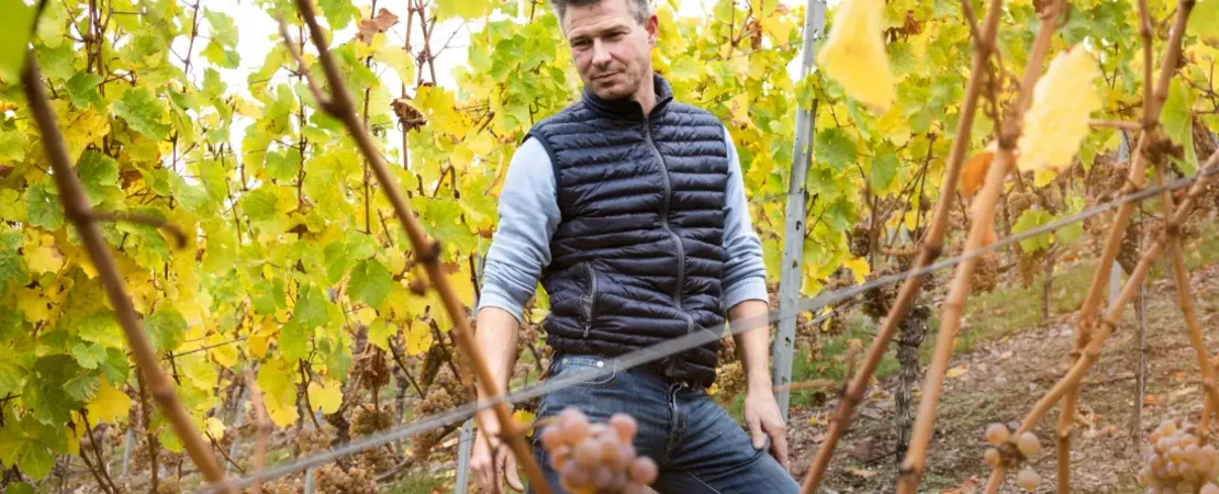 Weingut Schäfer Fröhlich