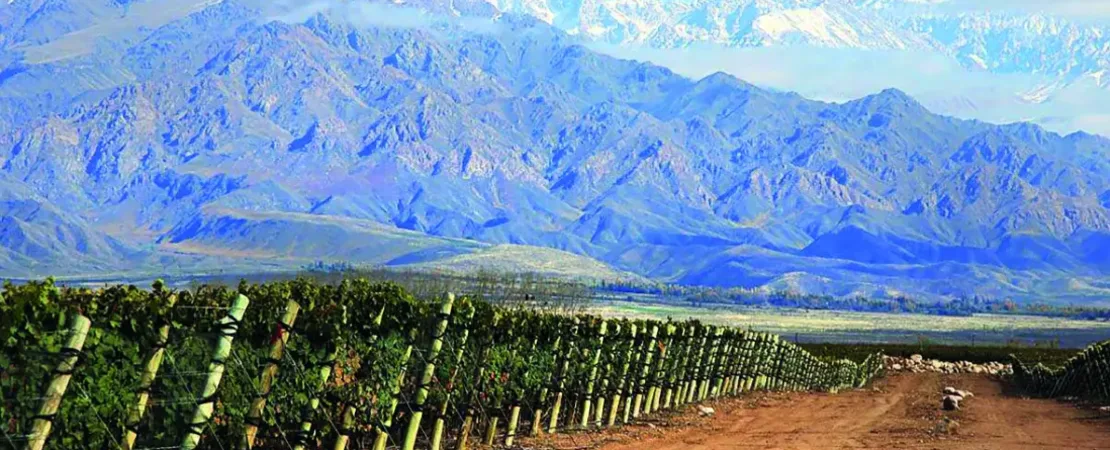 Terrazas des los Andes