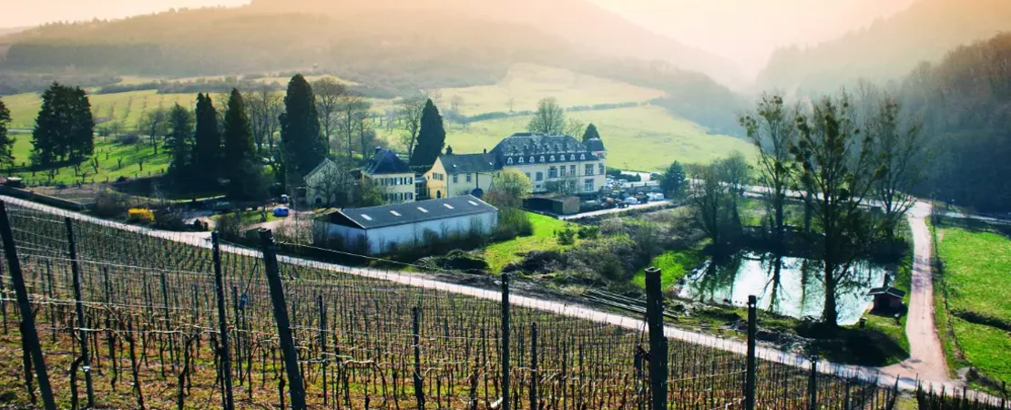 Weingut Egon Müller zu Scharzhof