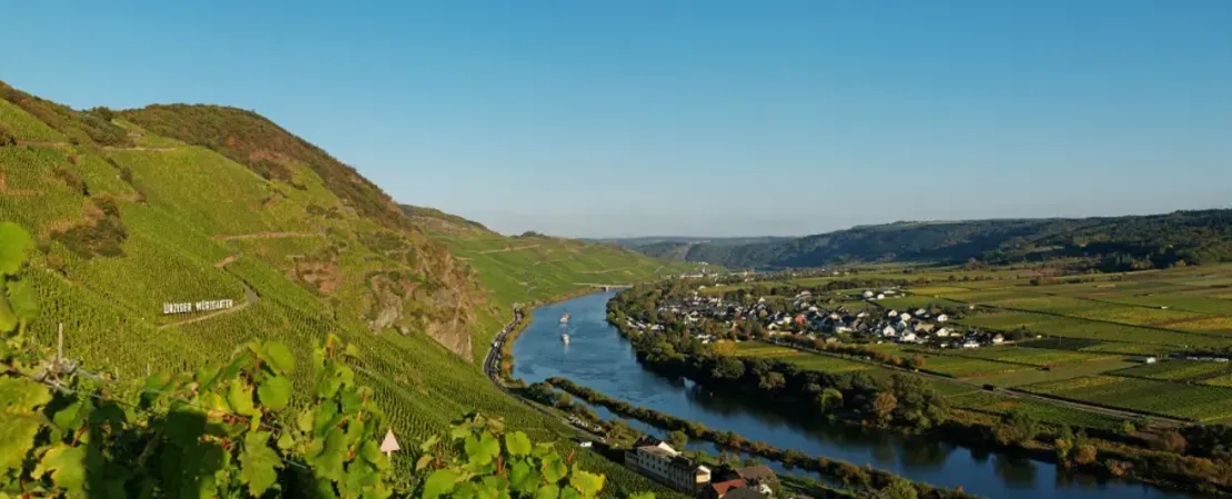 Weingut Willi Schaefer