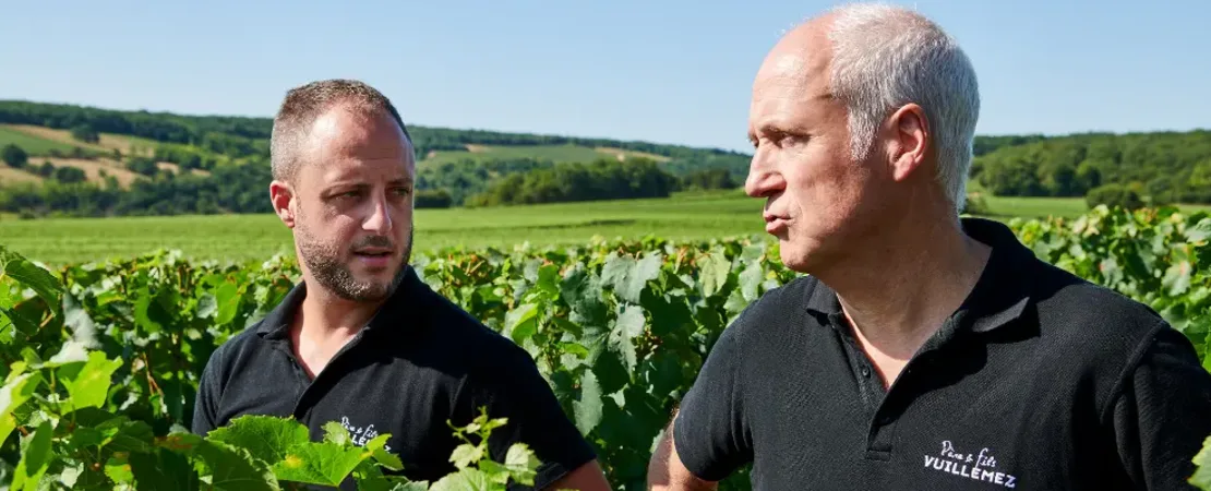 Domaine Vuillemez Père & Fils