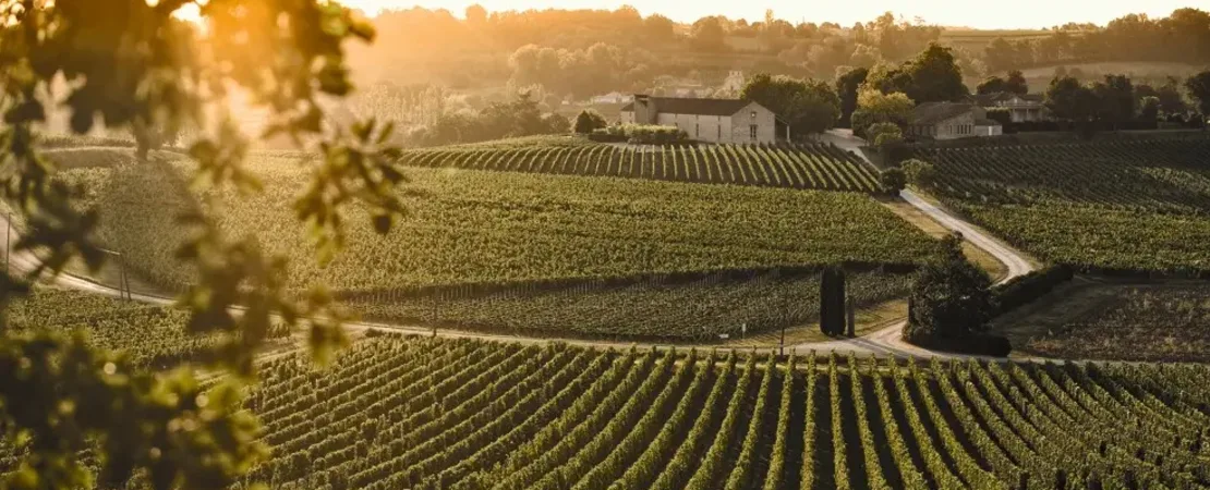 Château Péby-Faugères