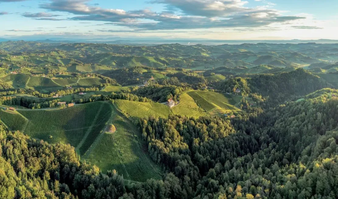 Top-Einzellage Pössnitzberg