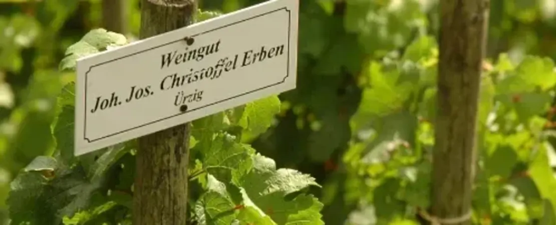 Weingut Joh. Jos. Christoffel-Erben