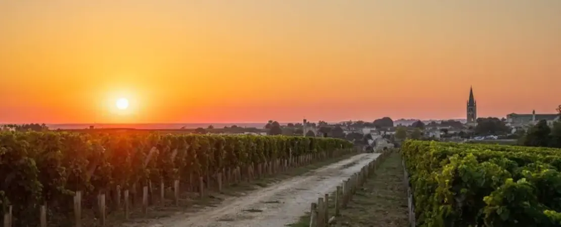 Château La Tour Figeac