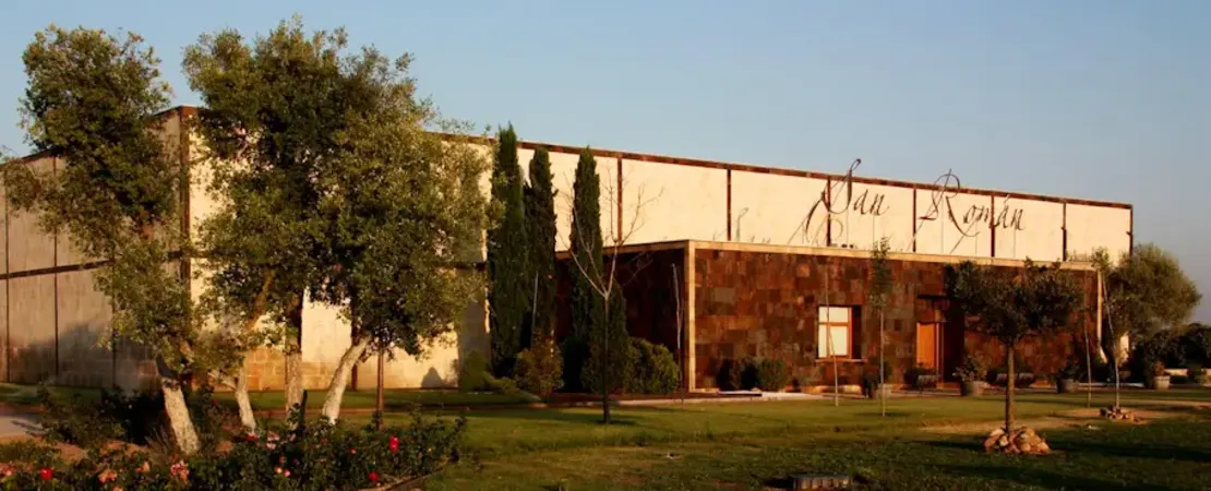 San Román Bodegas y Viñedos