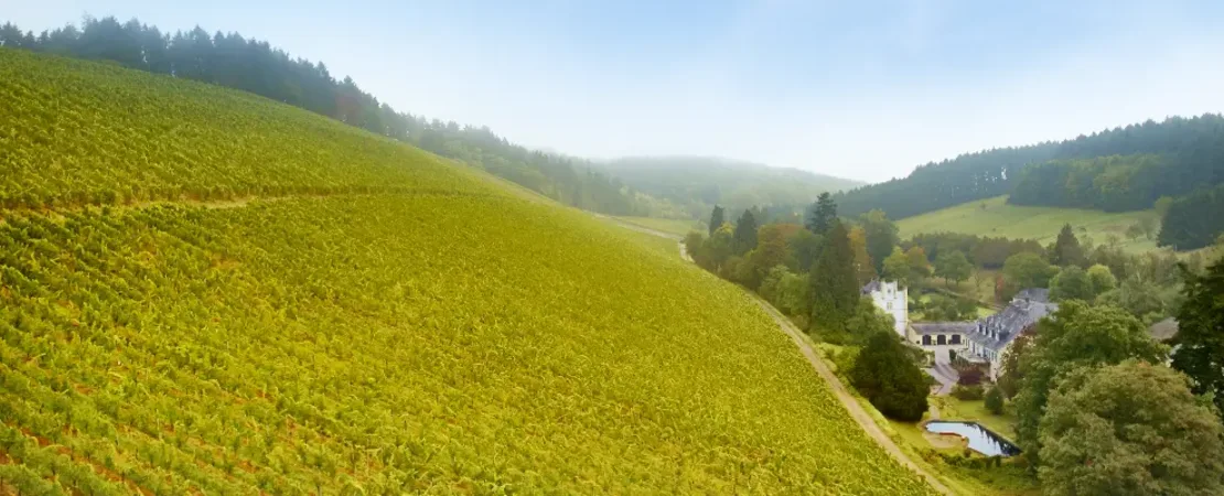 Weingut Karthäuserhof