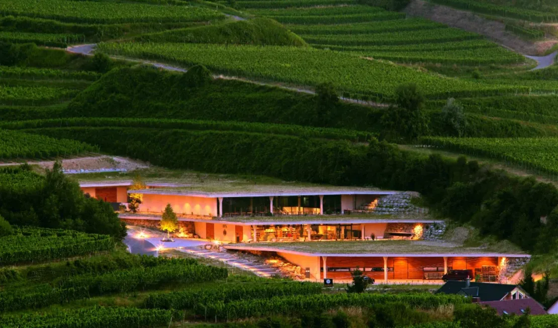 Das terrassenförmig angelegte Weingut